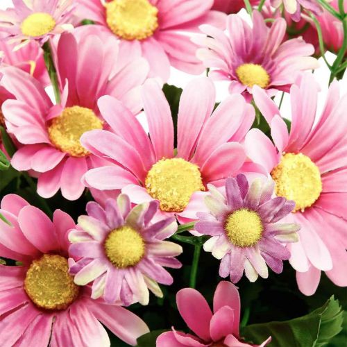 Floristik24.de Pink 44cm-08316 Kunstblumenstrauß Künstliche Margeriten