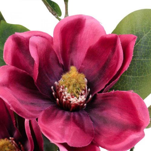 Floristik24.de Kunstblume Magnolienzweig, Magnolie künstlich Pink 65cm  3St-08249