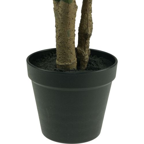 Floristik24.de Kunstpflanze Philodendron Künstliche Topfpflanze H60cm-14894