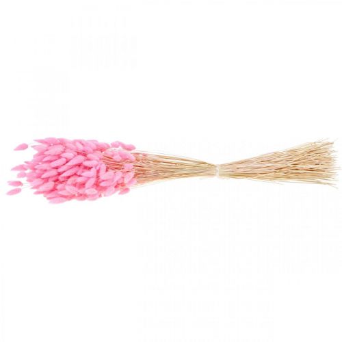 Artikel Lagurus Getrocknet Hasenschwanzgras Pink Deko Trockenblumen 65-70cm 100g