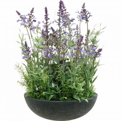 Kunstpflanzen-11923 Lavendel Floristik24.de Künstlicher Lavendelschale Seidenblumen