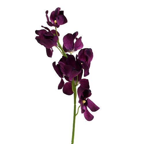 künstlich Lila Orchidee Mokara 6St-85754 Floristik24.de 50cm