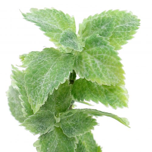 Artikel Minze künstlich Grün 25cm 12 St