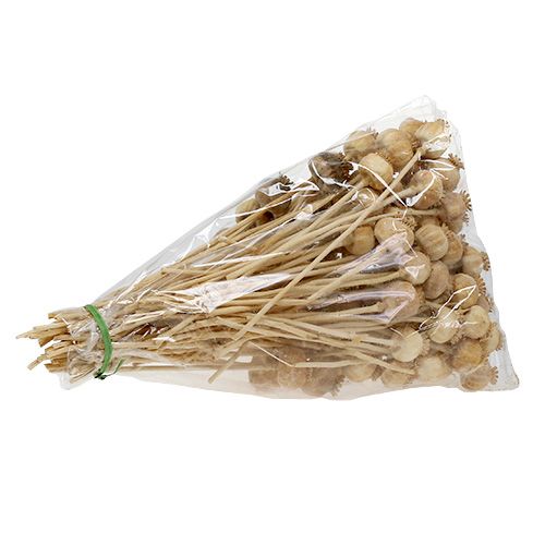 Floristik24 Mohnköpfe Natur 100 St