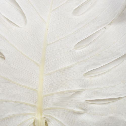 Artikel Monstera Blätter gebleicht Deko Fensterblatt H40cm 5 St