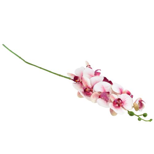 Artikel Orchidee Phalaenopsis künstlich 9 Blüten Weiß Fuchsia 96cm