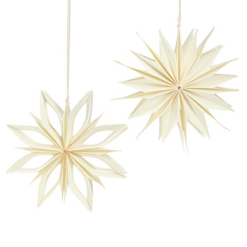 Floristik24 Papiersterne Baumschmuck Sterne Weiß Gold Ø15cm 6 St