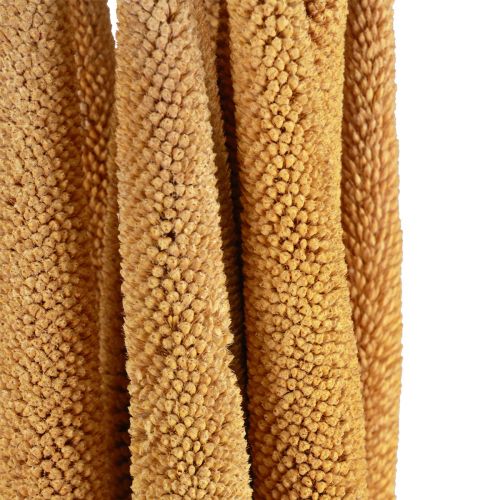 Artikel Elegante Kolbenhirse Dekoration für Blumenarrangements