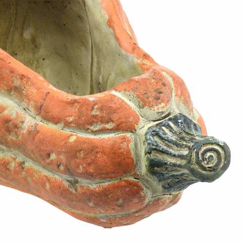 Floristik24 Kürbis zum Bepflanzen Orange 28×15×14cm