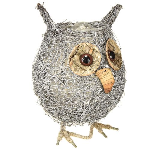 Artikel Pflanzkorb Eule Rebe weiß gewaschen Ø14cm