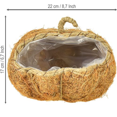 Artikel Pflanzkorb Kürbis Herbstdeko Orange Ø22cm H17cm