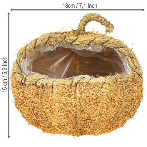 Artikel Pflanzkorb Kürbis mit Folie Herbstdeko Orange Ø18cm H15cm