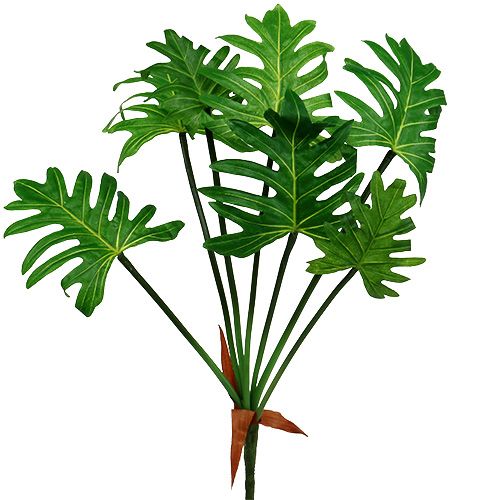 Floristik24.de Philodendron Pflanze künstlich 58cm-230095-42 Grün