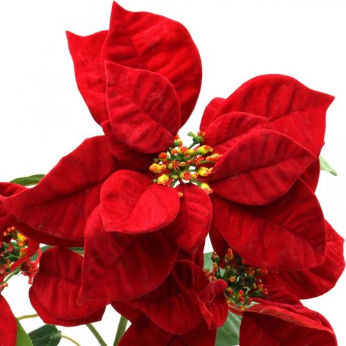 Floristik24.de Künstlicher Stielblume 3 Rot Blüten Weihnachtsstern 85cm-00711