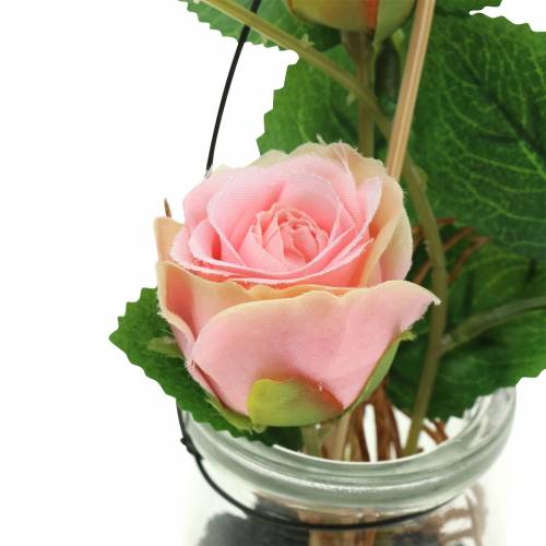 Floristik24.de Rose im Glas H23cm-66577 Rosa
