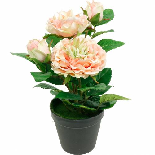 Romantische Deko-Rose Seidenblumen, Floristik24.de Topf, im Pfingstrose-11894 Rosa