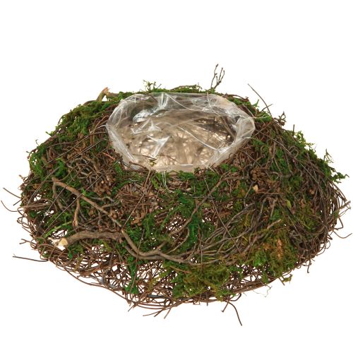 Artikel Runde Pflanzschale aus Reben mit Moos und Folie zur Dekoration