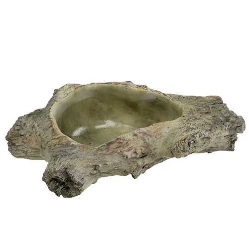 Floristik24 Schale zum Bepflanzen 30cm x 13cm H8,5cm