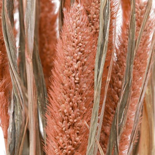 Artikel Setaria Borstenhirse Trockendeko Lachs 69cm 70-75g x 2St