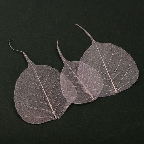 Artikel Skelettierte Bodhi-Blätter für kreative Dekorationen