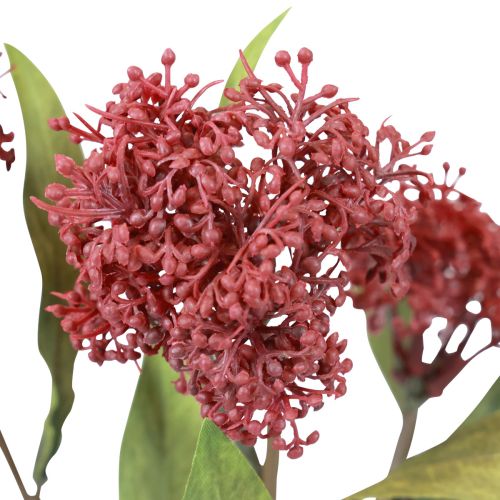 Artikel Skimmie Skimmia Japonica Kunstblumen Burgund DryLook L59cm