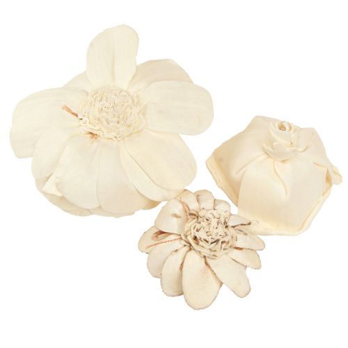 Artikel Sola Blumen Holz Holzblumen Deko Mix Creme 6-11cm 12-15 St