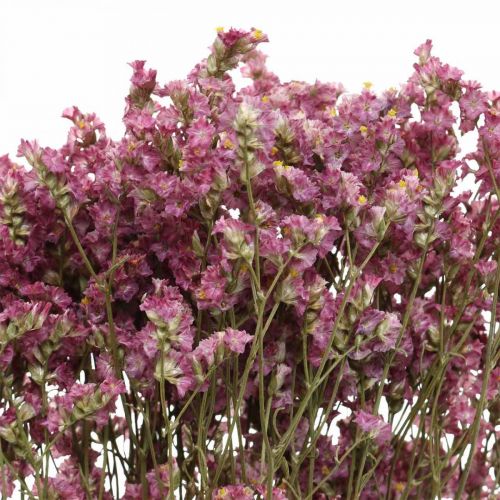 Artikel Statice, Strandflieder, Trockenblume, Wildblumen-Bund Pink L52cm 23g