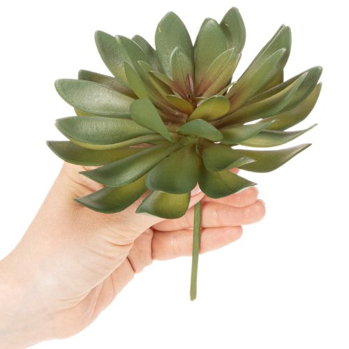 Artikel Künstliche Sukkulente als Dekopflanze grün 18cm 3St