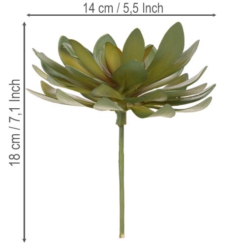 Artikel Künstliche Sukkulente als Dekopflanze grün 18cm 3St