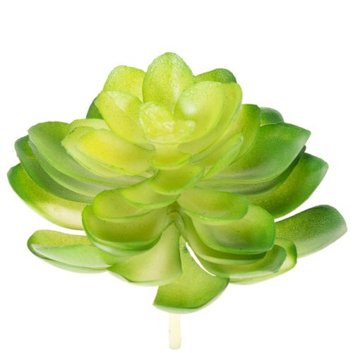 Artikel Kunstpflanze Sukkulente grün als Dekoration für Schale oder Vase 10cm 4 Stück