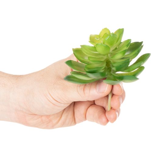 Artikel Kunstpflanze Sukkulente grün als Dekoration für Schale oder Vase 10cm 4 Stück