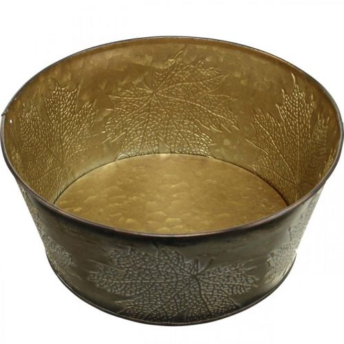 Floristik24 Herbstschale, Metalltopf mit Blattdeko, Pflanztopf Golden Ø25cm H10cm