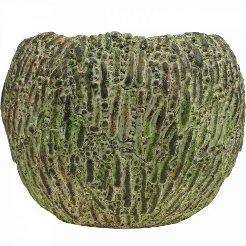 Artikel Übertopf Beton Antik-Look Grün, Braun Pflanztopf rund Ø15,5cm