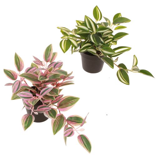 Tradescantia Künstliche Grünpflanze im Topf H19,5cm 2St