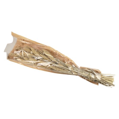 Artikel Trockenblumen Hirse Natur Setaria Borstenhirse H40-60cm 60g