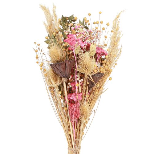 Trockenstrauß Lotos Flachs Distel Rosa Creme 50cm 100g