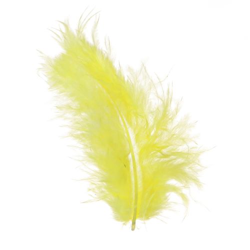 Vogelfedern Gelb zum Basteln Deko Federn 5cm–10cm 20g