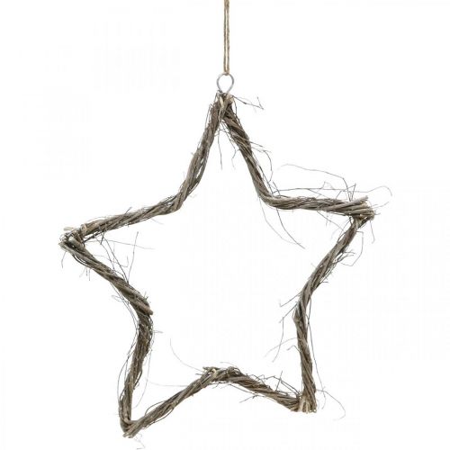 Floristik24.de Weihnachtsdeko Stern Weiß gewaschen Sterne zum Aufhängen  Ulme 30cm 4St-06392