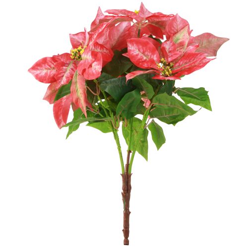 Artikel Weihnachtsstern Rot Rosa Christstern Künstlich L53cm