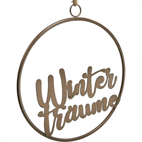 Artikel Fensterdeko hängend Schriftzug Winterträume 30,5cm