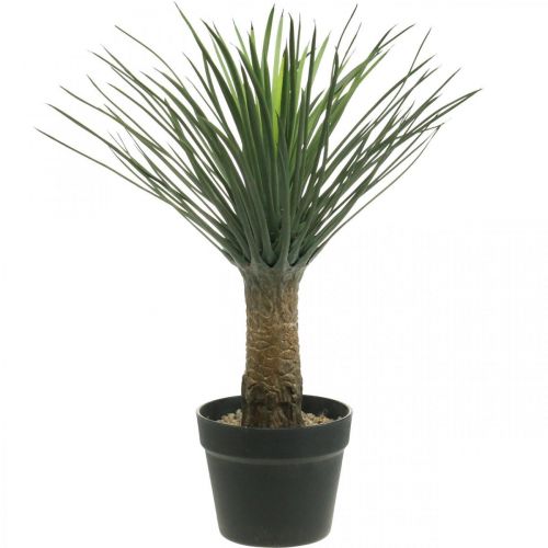 Floristik24 Künstliche Yucca Palme im Topf Kunstpalme Topfpflanze H52cm