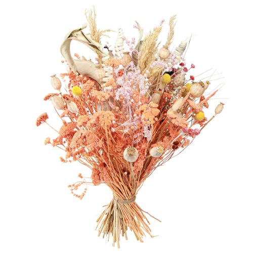 Artikel Achillea Schafgarbe getrocknet Wiesenblumen Lachs 40-50cm 80g