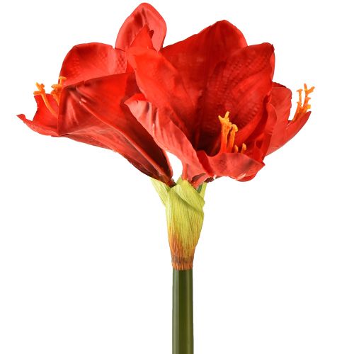 Künstliche Amaryllis in leuchtendem Rot – Elegante Blütenpracht für luxuriöse Raumdekoration, 66 cm