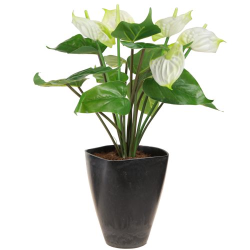 Artikel Orchideentopf Blumentopf Plastik Anthrazit 13,5x13x16,5cm 4St