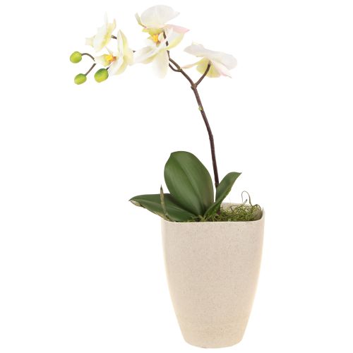 Floristik24 Orchideentopf Blumentopf Plastik Beige Meliert 13,5x13cm H16,5cm 4St