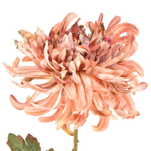 Artikel Chrysanthemen Rosa Lachs Künstlich Ø13cm L72cm 2St