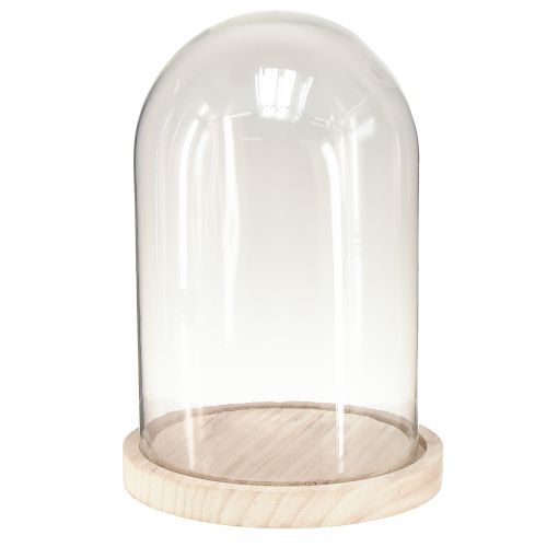 Artikel Glasglocke Oval Holzfuß Glassturz Klar Natur Ø17cm H24cm