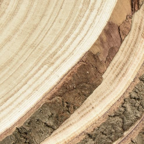 Artikel Holzscheiben Paulownia Natur, Ø26-28cm, 3er-Set für DIY, Deko, Hochzeit