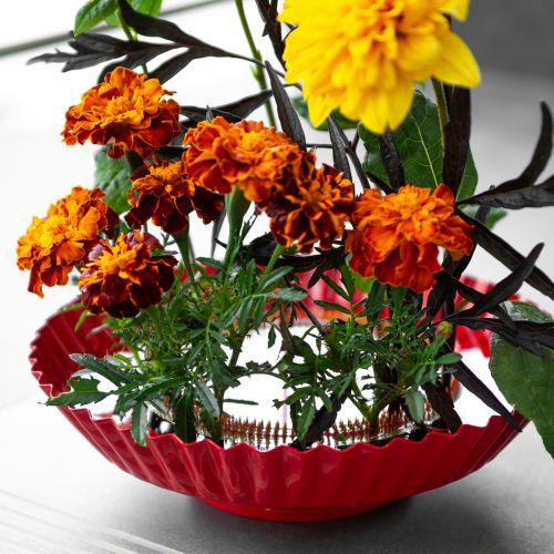 Artikel Kreative Steckhilfe mit Messingnadeln für Ikebana und Blumengestecke