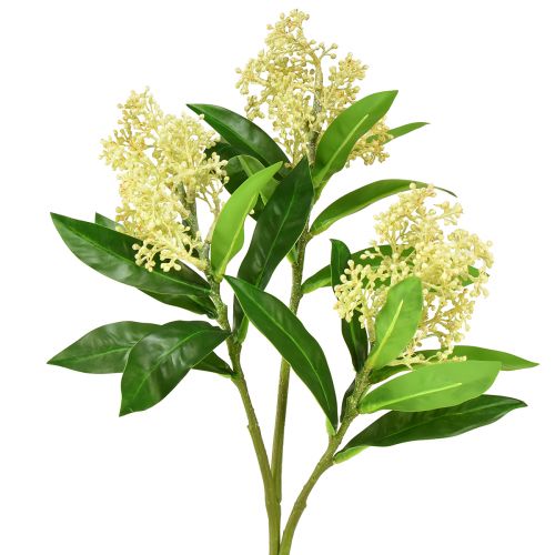 Künstliche Blumen Creme Skimmia japonica Skimmie 45cm 2St